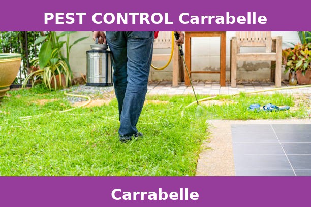 PEST CONTROL Carrabelle